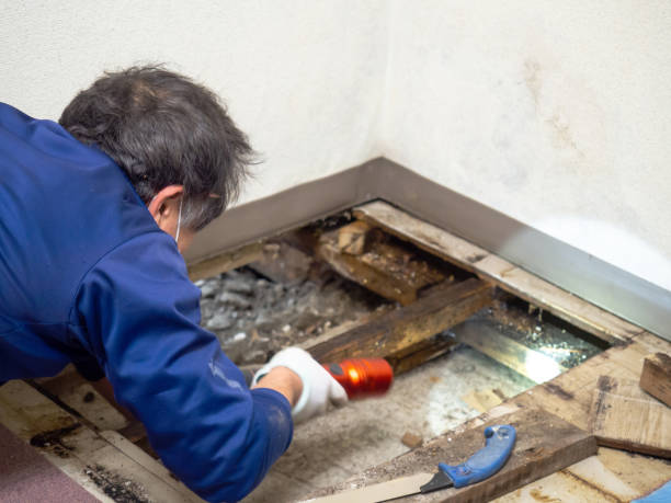 Mold Testing and Removal in Ramapo College Of New Jersey, NJ