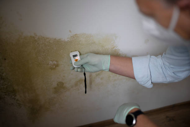 Crawl Space Mold Removal in Ramapo College Of New Jersey, NJ